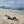 Saunatuch XXL Klassisch - 200 x 300 cm | Großes Strandtuch | Sofaüberwurf - - - - - - - - - - - - - - - - - - - - - - - - - - - - - - - - - -. BY FOUTAS