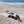 Saunatuch XXL Arthur - 200 x 300 cm | Großes Strandtuch | Überwurf - BY FOUTAS