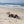 Fouta XXL Classique - 200 x 300 cm | Toalla de playa grande | Toalla para sofá - BY FOUTAS