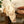 Zadig Wandkleed - 140 x 200 cm | Wandkleed voor de bank - Zadig Wandkleed - 140 x 200 cm | Wandkleed voor de bank - Zadig wandkleed BY FOUTAS